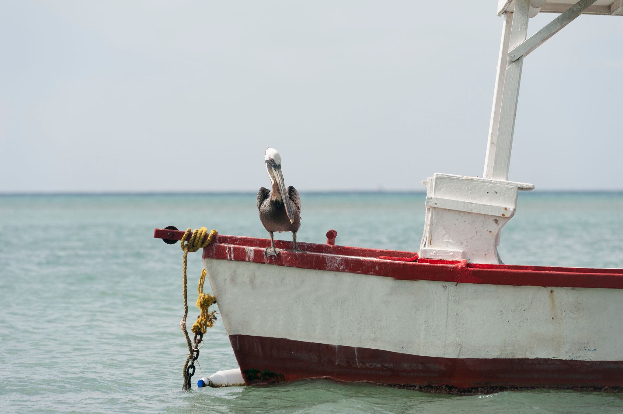 barco carguero