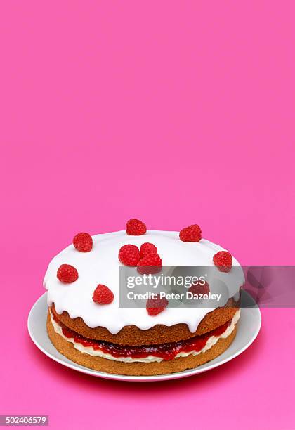 raspberry sponge cake with copy space - homemade stock pictures, royalty-free photos & images