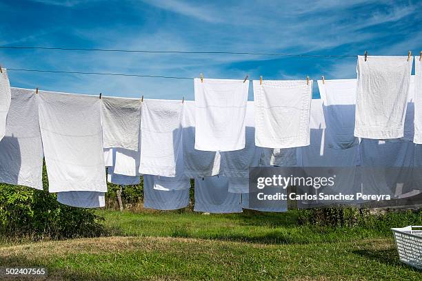 cleaning the home - clothesline stock pictures, royalty-free photos & images