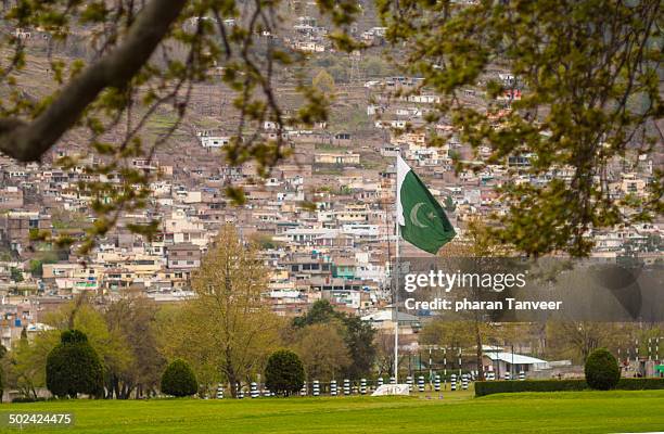 pakistan flag waves - pakistani flag imagens e fotografias de stock