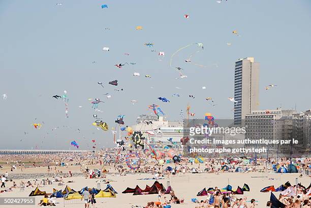 festival of kites in ostend - beach of ostende foto e immagini stock