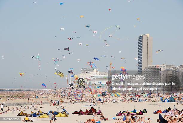 festival of kites in ostend - oostende stockfoto's en -beelden