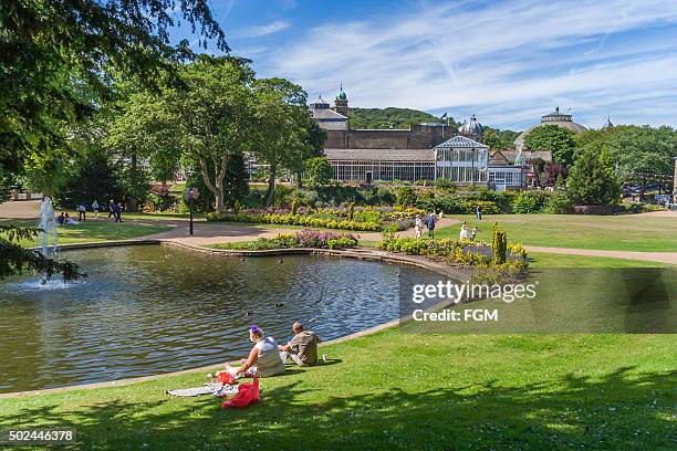 picnic in the park - pavilion stock pictures, royalty-free photos & images