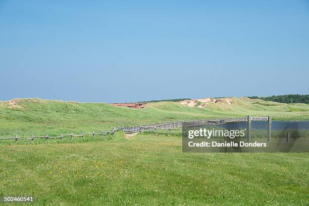 marram grass, pond and dunes - new england usa stock pictures, royalty-free photos & images