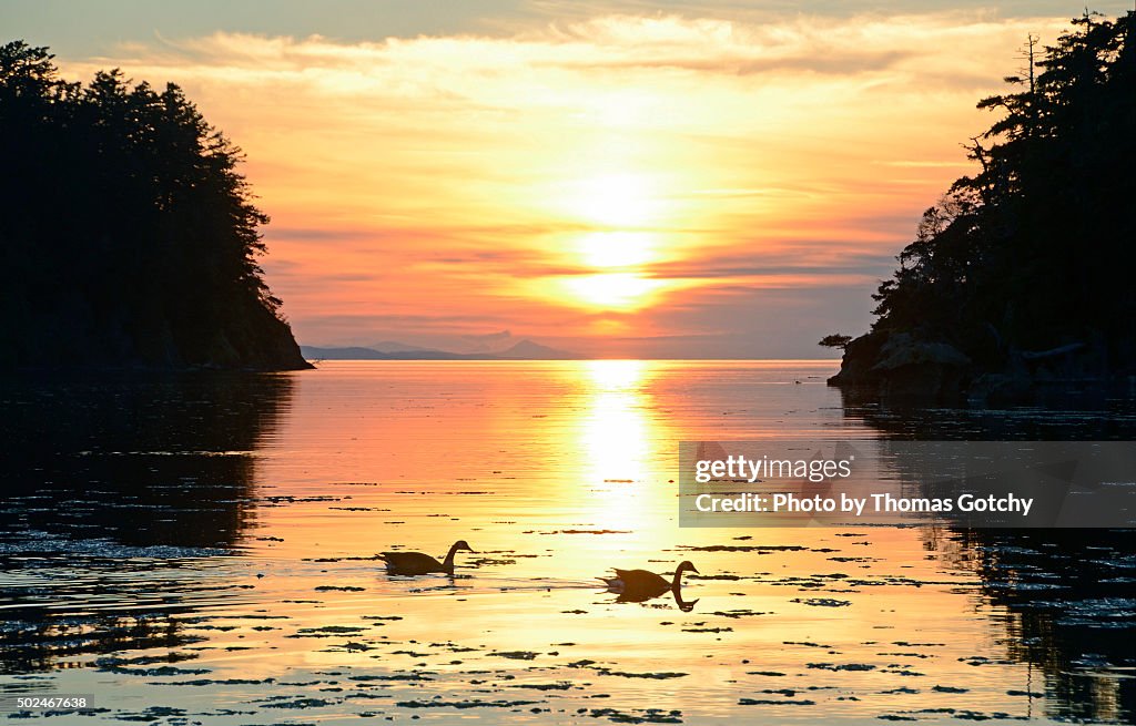 Sunset, Sucia Island State Park, Washington State