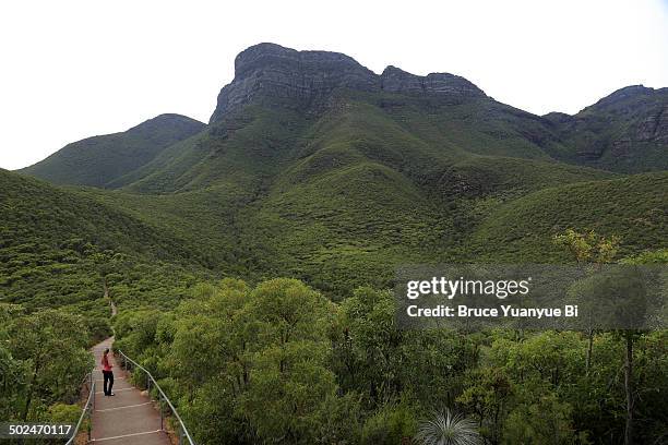 bluff knoll of stirling range - australian rainforest stock pictures, royalty-free photos & images