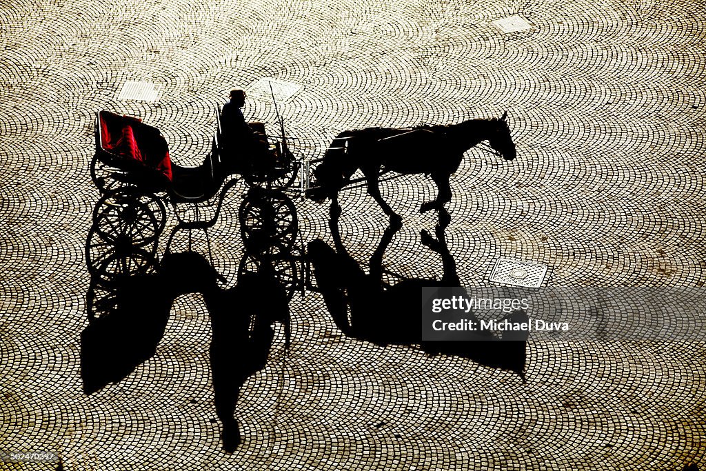 Empty horse and carriage with driver in silhouette