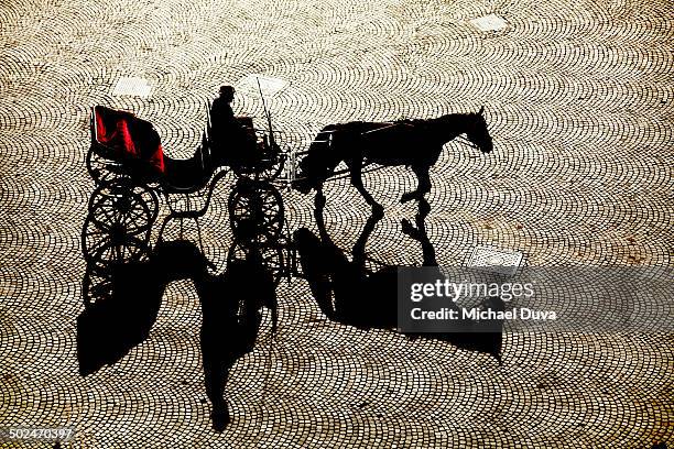 empty horse and carriage with driver in silhouette - carriage stock pictures, royalty-free photos & images