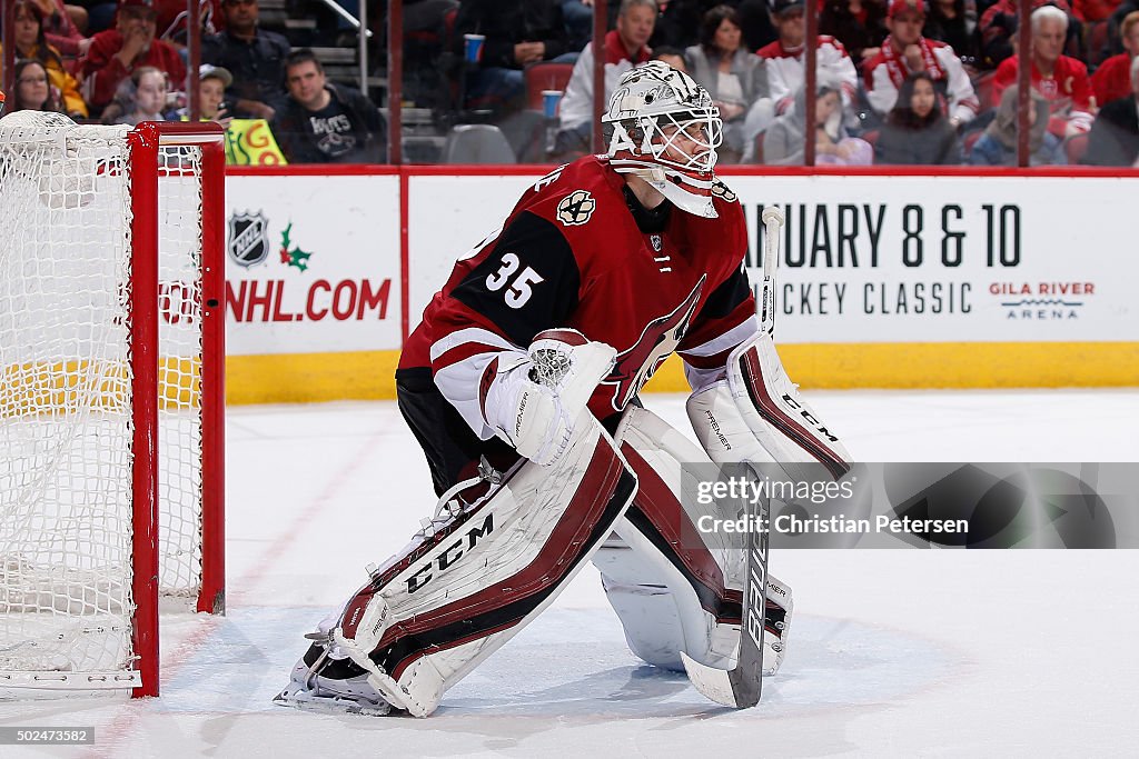 Toronto Maple Leafs v Arizona Coyotes