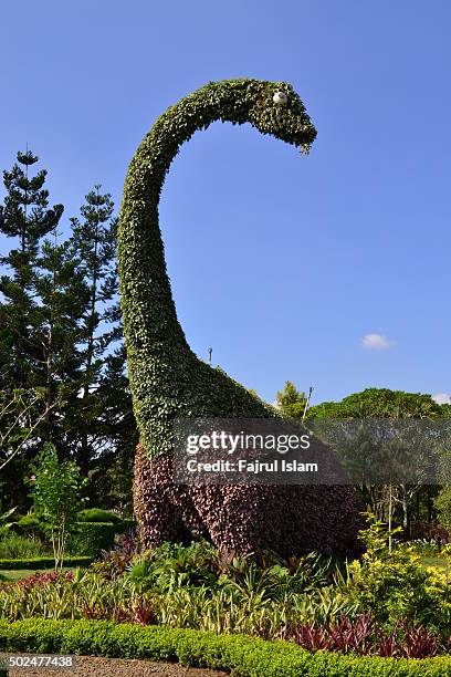 dinosaur topiary - topiary stock-fotos und bilder