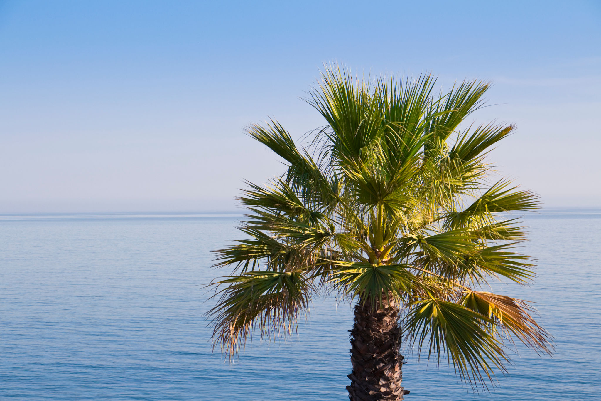 albufeira weather