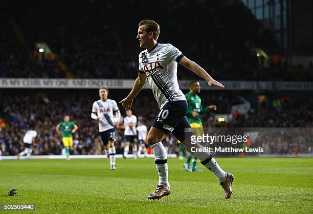 Harry Kane of Tottenham Hotspur celebrates scoring his teams second goal during the Barclays Premier League match between Tottenham Hotspur and...