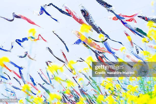 koinobori, carp streamers - koinobori stock pictures, royalty-free photos & images