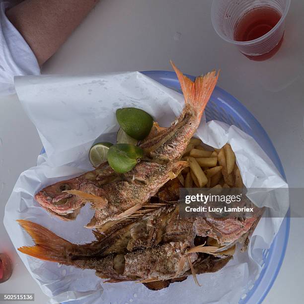 fried red snapper by the sea - oranjestad stock pictures, royalty-free photos & images