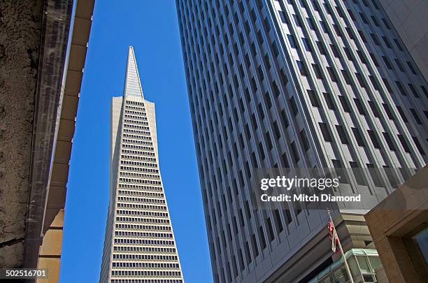 transamerica building in downtown san francisco - transamerica pyramid san francisco stock pictures, royalty-free photos & images