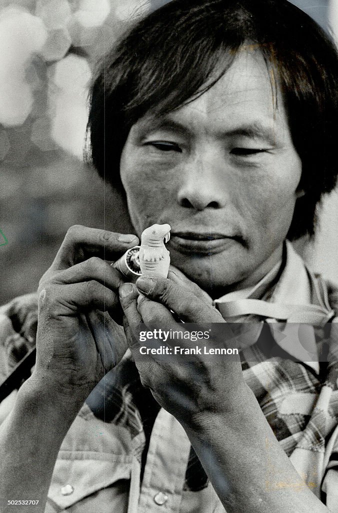 Detailed work: Inuit artist Giddeon Quaqjuaq puts final touches on ivory seal carving during demonst