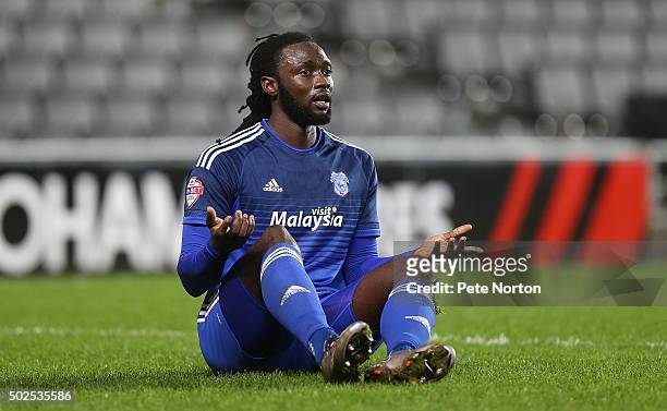 Kenwyne Jones of Cardiff City in action during the Sky Bet Championship match between Milton Keynes Dons and Cardiff City at stadium:mk on December...