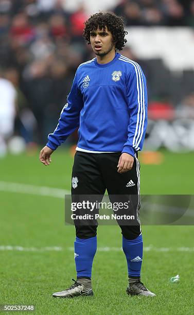 Fabio Da Silva of Cardiff City looks on during the pre match warm up prior to the Sky Bet Championship match between Milton Keynes Dons and Cardiff...