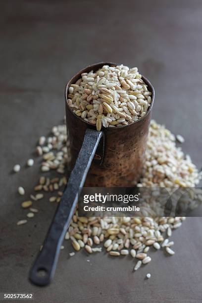 wheat grains - cereales stock-fotos und bilder