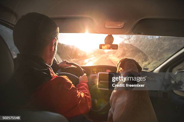 mann genießt die fahrt nach hause, als er seinen hund - driver's seat stock-fotos und bilder