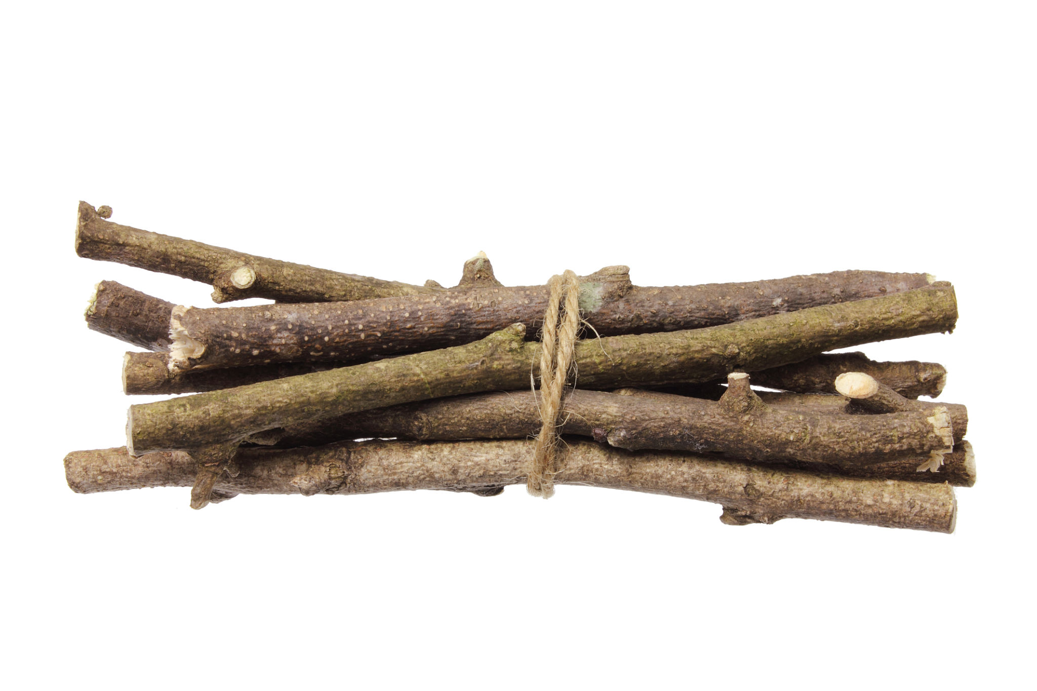 bundled branches