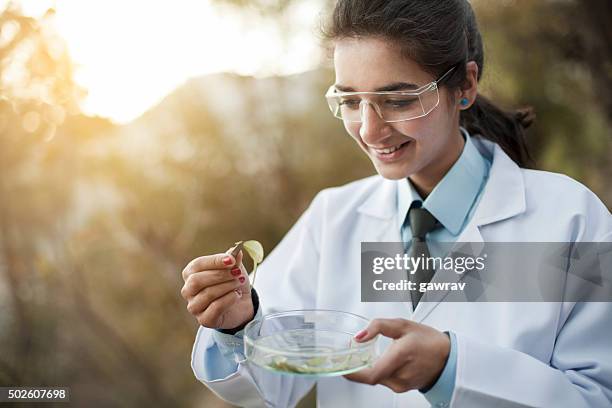 happy young female botanist collecting sample of leafs in nature. - ayurveda stock pictures, royalty-free photos & images