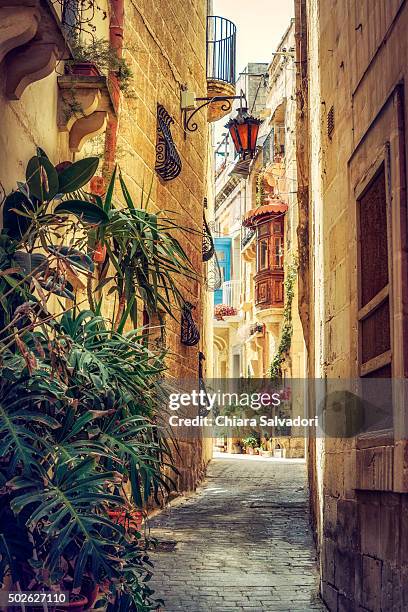 the ancient village of rabat - mdina stock pictures, royalty-free photos & images