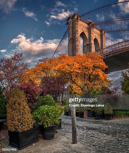 brooklyn bridge, new york, usa - autumn in new york foto e immagini stock