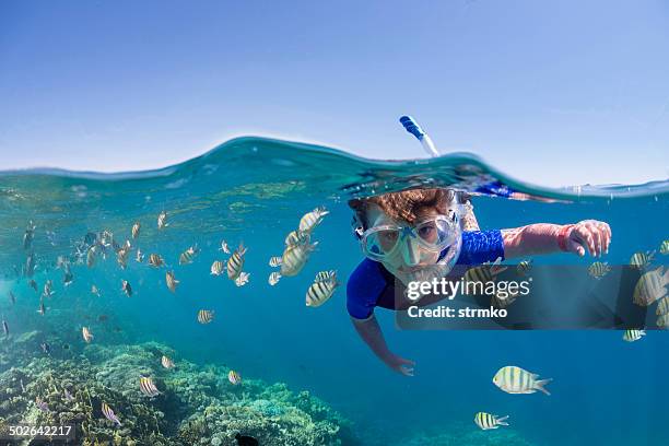 bambino sulla barriera corallina - snorkeling foto e immagini stock