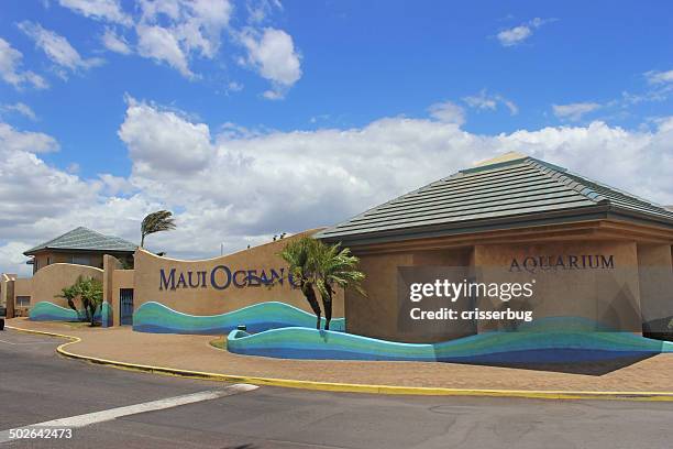 maui ocean center - maui ocean center bildbanksfoton och bilder
