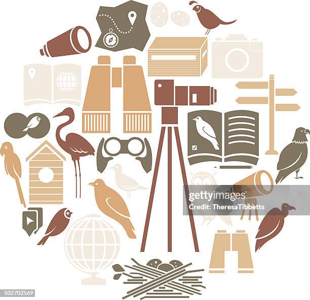 vogelbeobachtung icon-set - crow bird stock-grafiken, -clipart, -cartoons und -symbole