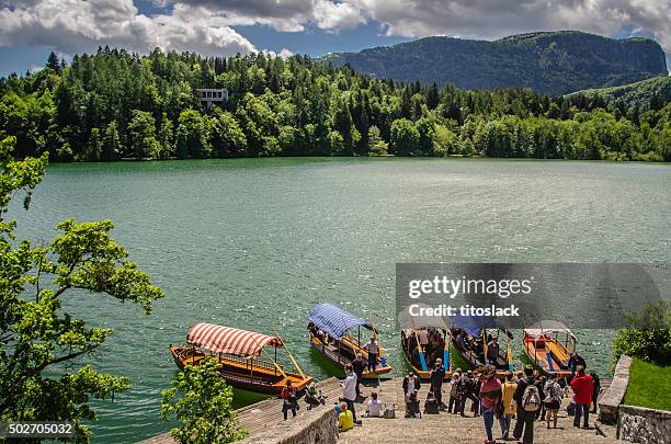 lake bled, slovenia - bled slovenia stock pictures, royalty-free photos & images