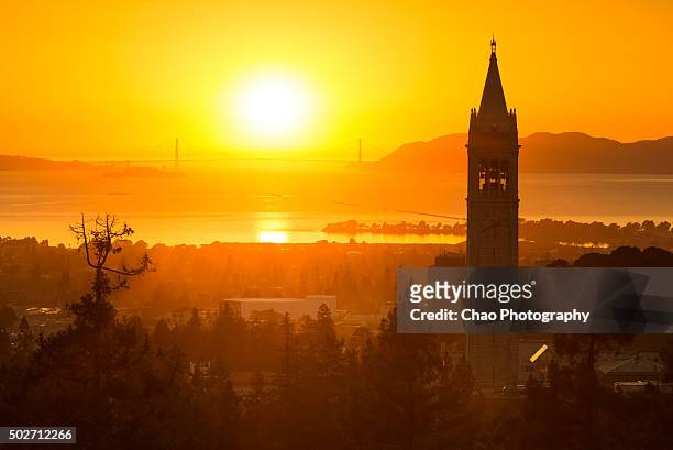 berkeley campanile and sunset - university of california san francisco stock pictures, royalty-free photos & images