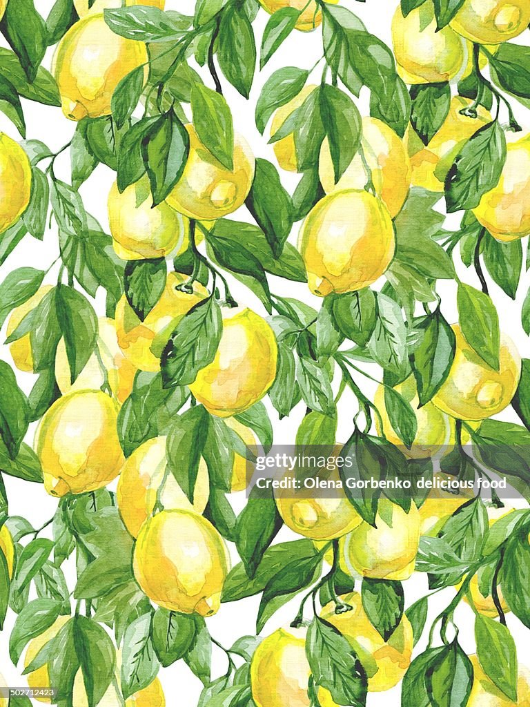 Tree of lemons.Watercolor