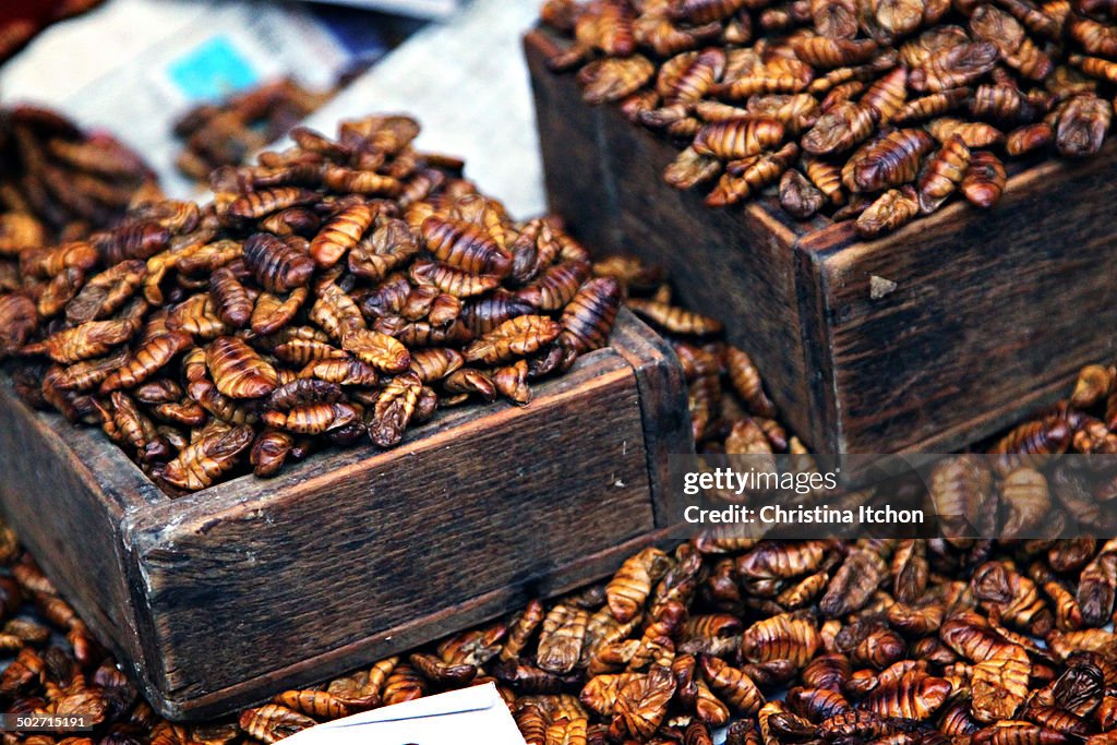 Beondegi (roasted silkworm chrysalis)