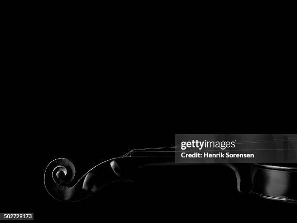 violin on black backdrop - violin stock pictures, royalty-free photos & images