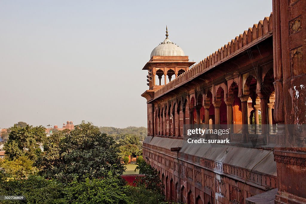 Jama Masjid with Red Fort in the distant