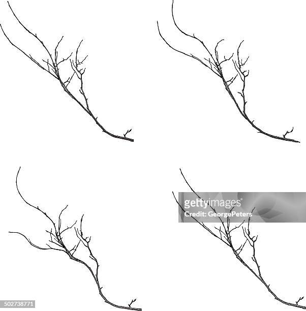 twigs, isoliert auf weißem hintergrund - zweig stock-grafiken, -clipart, -cartoons und -symbole