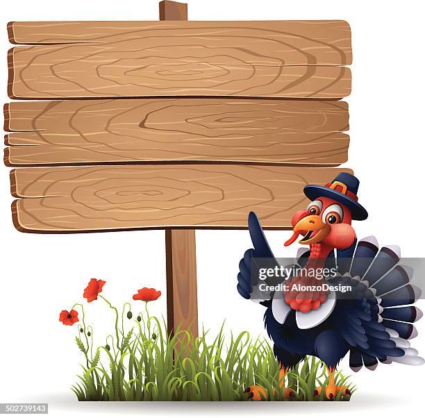stockillustraties, clipart, cartoons en iconen met pilgrim turkey with wooden sign - funny turkey images