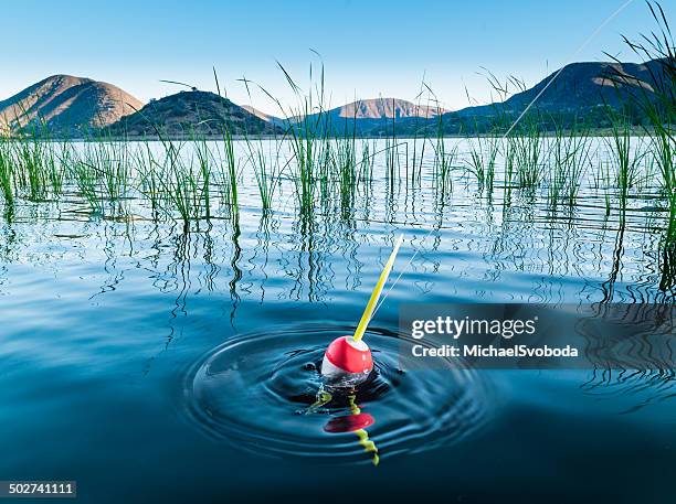 bobber fish on - fishing line stock pictures, royalty-free photos & images