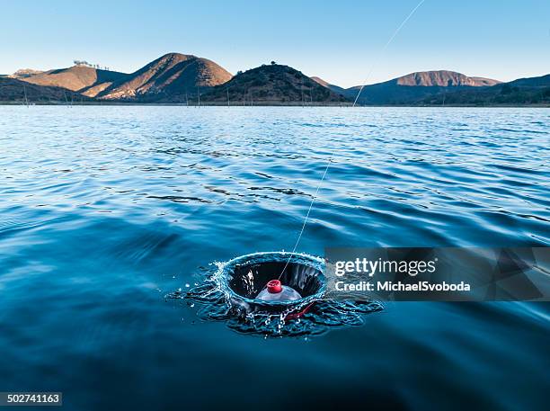 bobber fish on - fishing float stock pictures, royalty-free photos & images