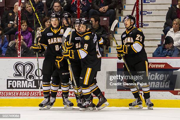 Forward Nikita Korostelev of the Sarnia Sting celebrates after a goal against the Windsor Spitfires on December 28, 2015 at the WFCU Centre in...