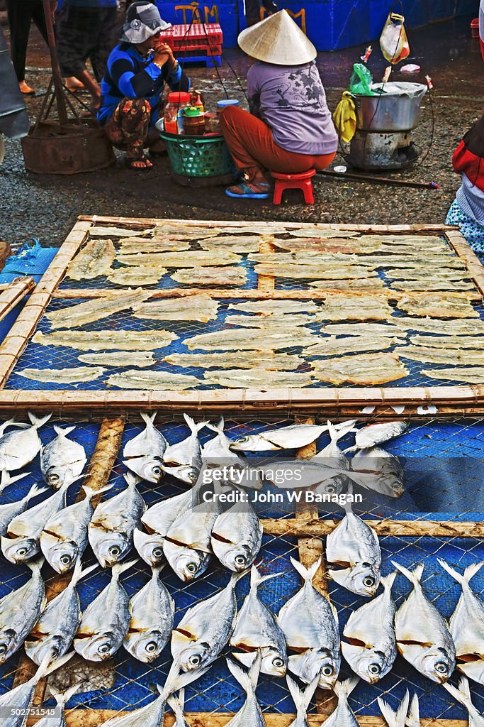 Fish catch at Phan Thiet harbourside