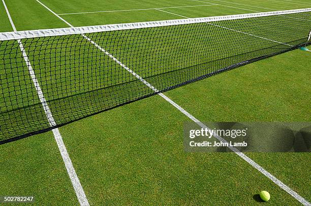 grass court tennis - tennis court fotografías e imágenes de stock