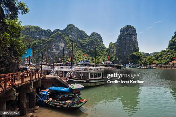 ha long bay view and boats, vietnam - halong bay stock-fotos und bilder