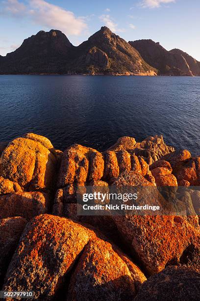 sunrise at wineglass bay lights up lichen covered boulders with the hazards mountain range beyond, freycinet national park, tasmania, australia - wineglass bay stock pictures, royalty-free photos & images