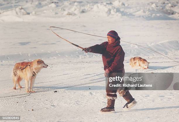 349 Meeka Stock Photos, High-Res Pictures, and Images - Getty Images