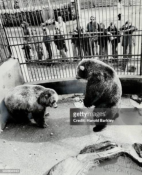 61 Riverdale Zoo Photos and Premium High Res Pictures - Getty Images