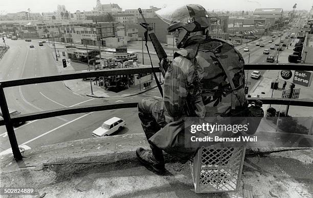 Rodneyu King Riots 274 Rodney King Case Stock Photos, High-Res Pictures, and Images ...