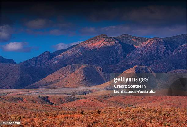 late afternoon light sweeps across the flinders ranges national park, south australia. - flinders ranges stock-fotos und bilder